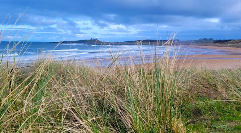 Wintering: and how to unfreeze your breath